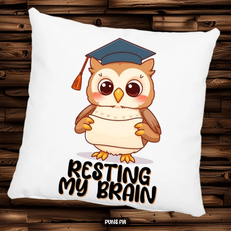 Funny pillow featuring a cute owl in a graduation cap, presenting a scroll with a flourish, designed for cozy comfort.